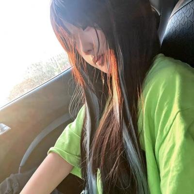 燕子与鹦鹉 海报